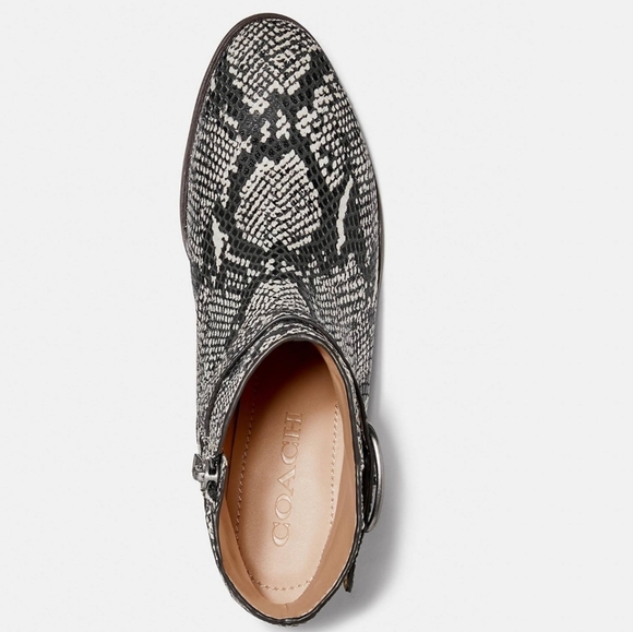 Coach Dylan Booties New Snakeskin Leather 9.5 NIB - Picture 4 of 7